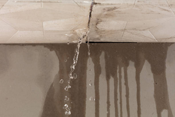 Professional Water Extraction technician working in Lucas, OH